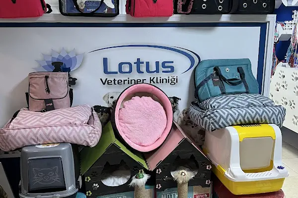 Adana Lotus Veteriner Kliniği