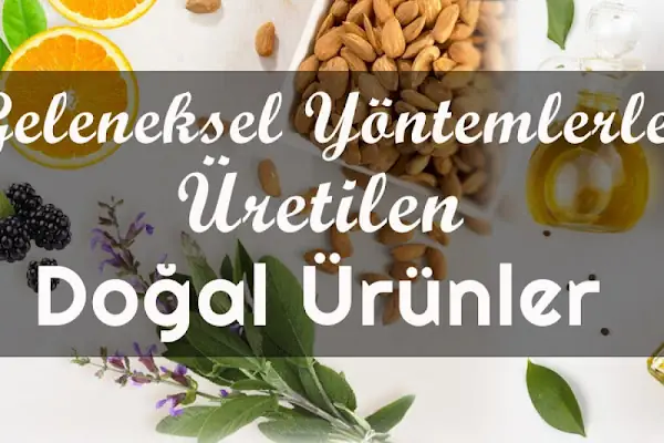 Gemlik Zeytincimiz