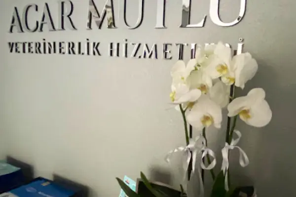 HAMARAT VETERİNER KLİNİĞİ