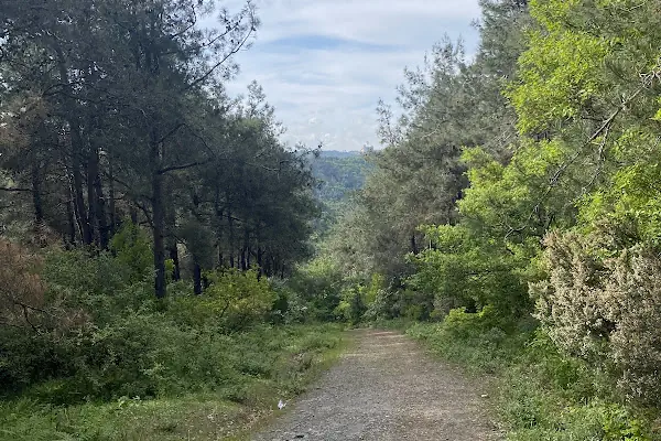 Arnavutköy Belediyesi Temizlik İşleri Müdürlüğü Garajı