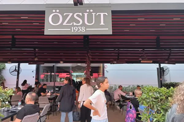 Özsüt