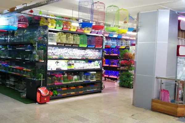 Caretta Pet Shop