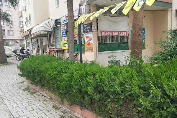 Dilek Market