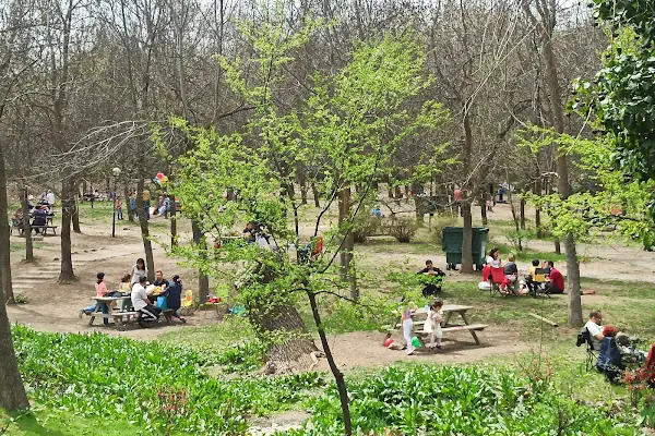 Tenis Kortları Çimleri