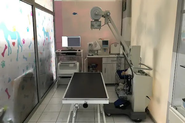 Anatomi Veteriner Kliniği