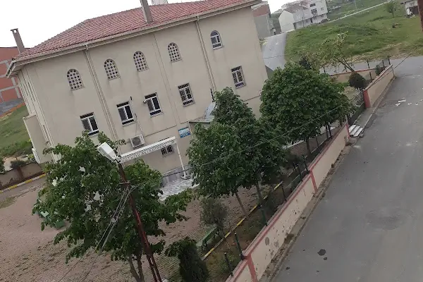 Cami