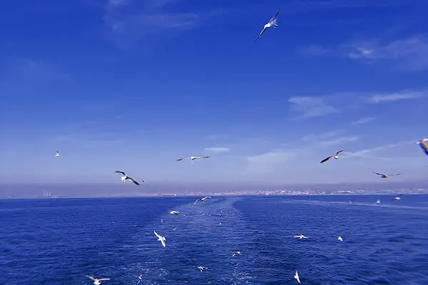 Loc'ada Büyükada