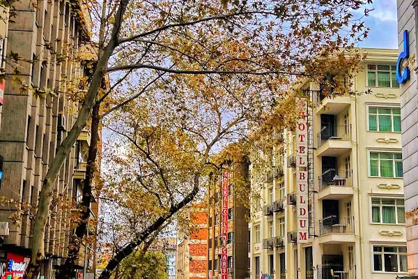 Nüzhet Atav Işhani