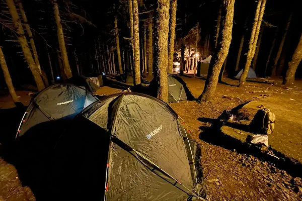 Sarıalan Kamp Alanı