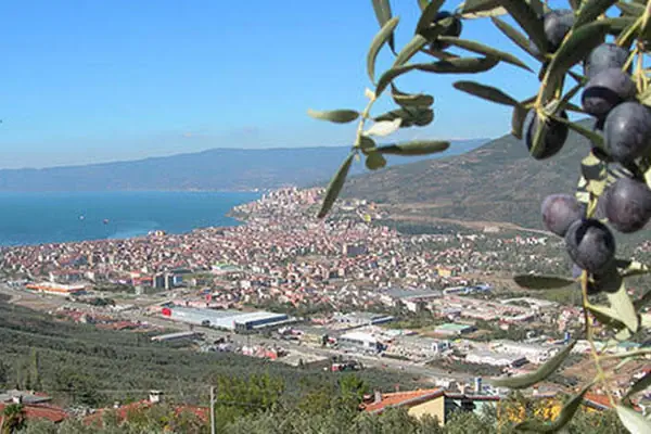 Mahir Onay Gayrimenkul