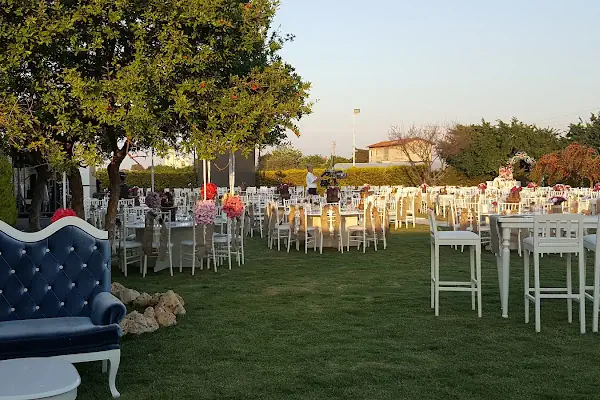 Three Palm Event & More