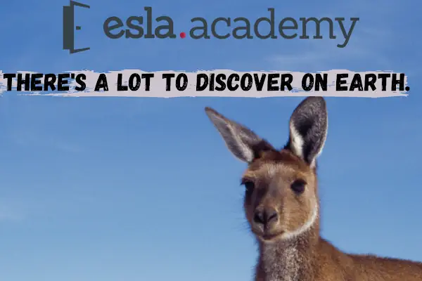 Esla Academy