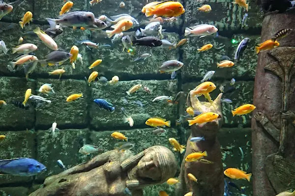 Antalya Aquarium