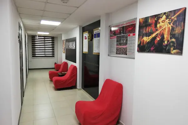 Çukurova Müzik Akademi