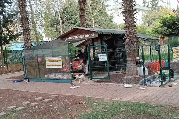 Güzelyalı Kedi Evi