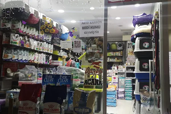 Ataşehir pet kuaför