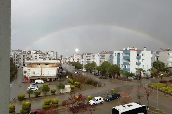 Kösedağ Oto Ve Halı Yıkama