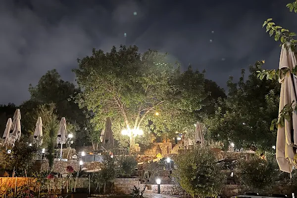 Dali Food &amp; Cafe