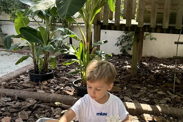 Hayat Ağacı Montessori Anaokulu