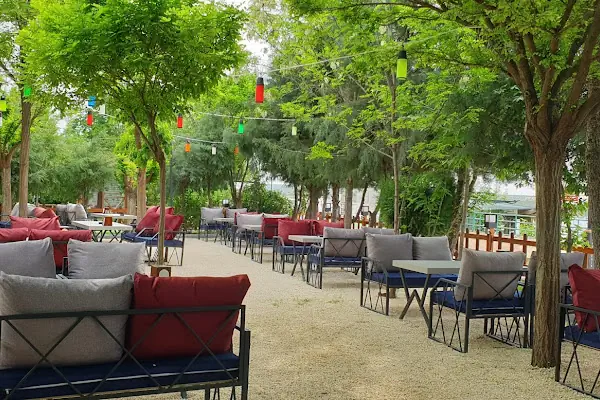 Vera Cafe