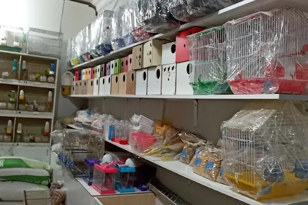 ATEŞ PETSHOP