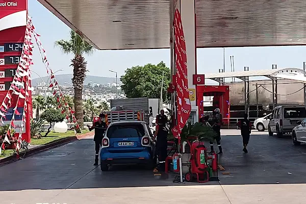 Continental - Paşalılar Petrol