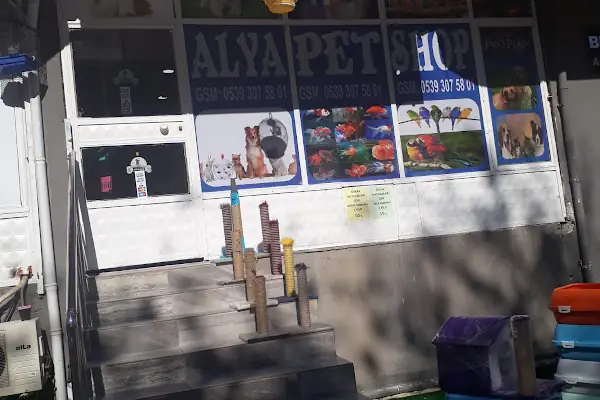 Alya Petshop