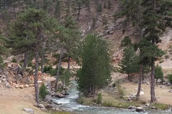 Aksu Kaymakamlığı