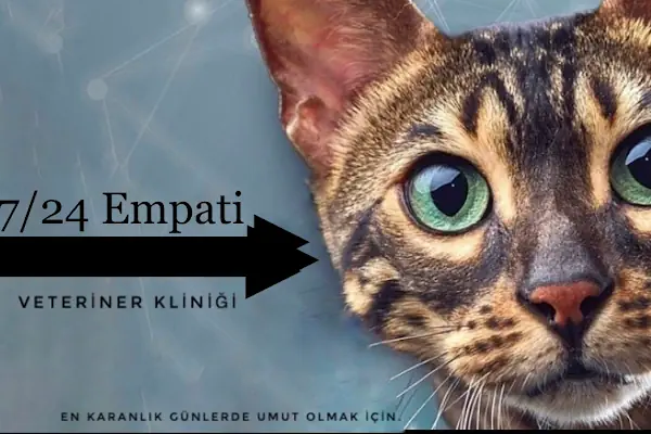 Çerkezköy Empati Veteriner Kliniği