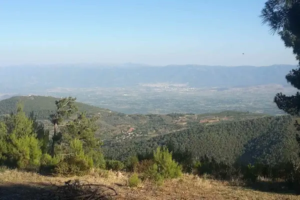 bayindir piknik alani