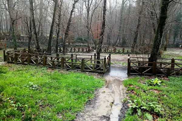 Neşetsuyu Tabiat Parkı