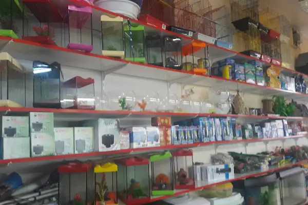 Bitirim Pet Shop