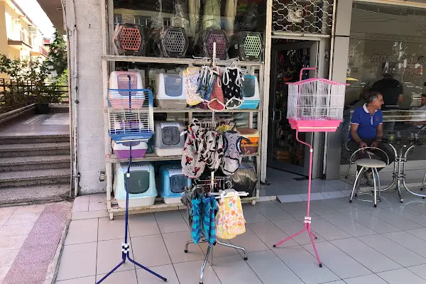 Eylül Pet Shop