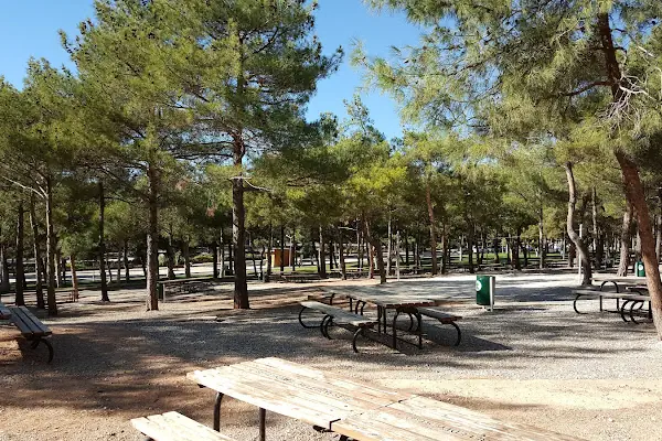 Erikçe Piknik Alanı
