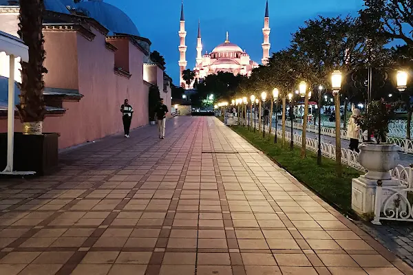 İstanbul Psikolog-Online Terapi ve Yetişkin Psikolog Uzm. Psk.Tuğçe Dönmezer