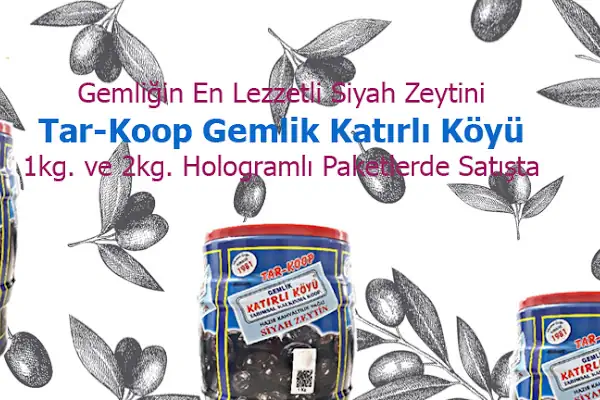 Mert Tur Öğrenci&amp;Personel Servis Taşımacılığı