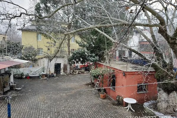 Bayındır
