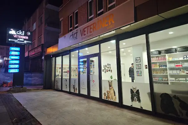 Gigi Veteriner Kliniği