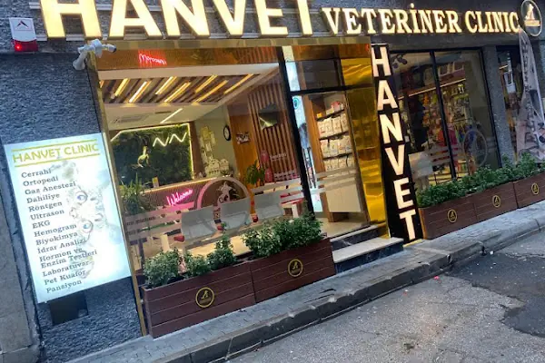 Hanvet Clinic - Gemlik Veteriner Kliniği