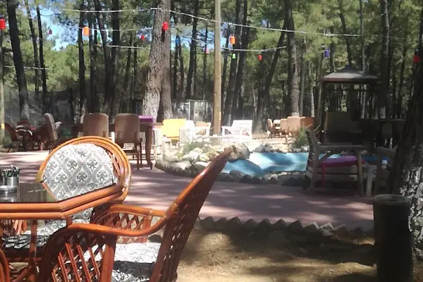 Kozalak Cafe Restaurant Tesisleri