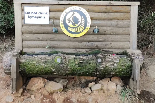 Orman İşletme Şefliği