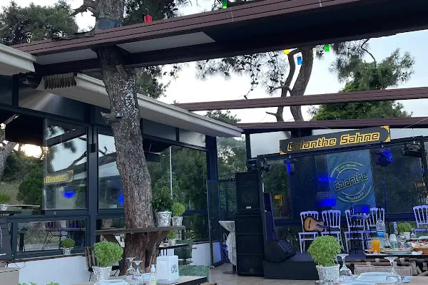 Calanthe Büyükada