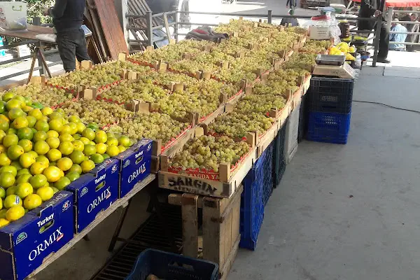 NAZ BÜFE & ŞARKÜTERİ MARKET