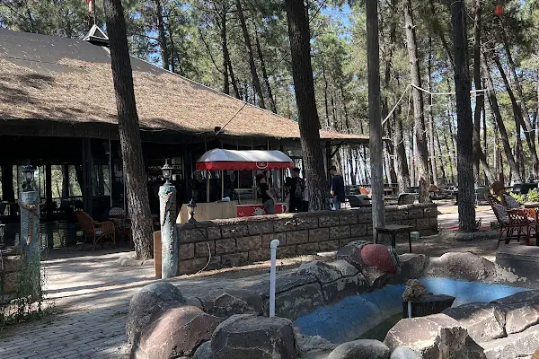 Kozalak Cafe
