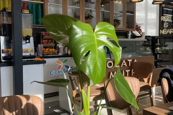 Çikolata Mutfağı