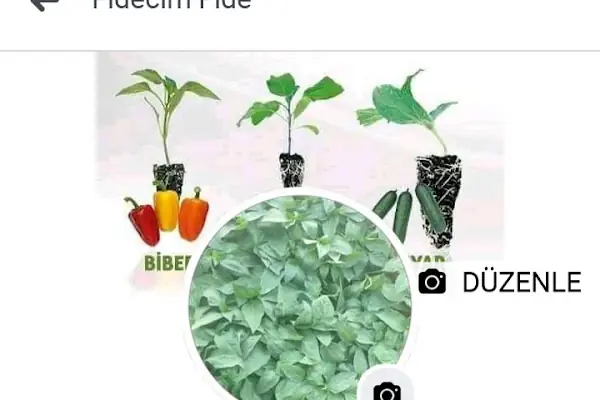 Fide fidecim