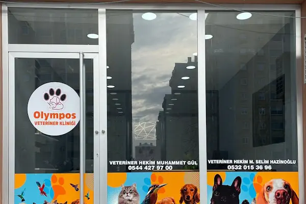 kOlympols Veteriner Kliniği
