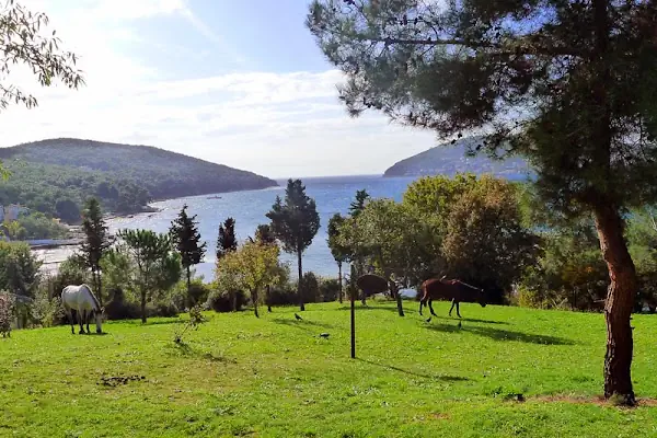 Değirmen Burnu Tabiat Parkı