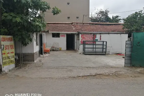 KAZAN HAYVANCILIK Adak Kurban Satış Merkezi