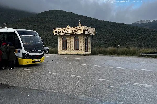 Gemlik Hastane Taksi